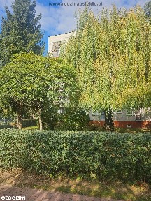 Kawalerki są w wyższych cenach,atu 2pok,balkon.Os.Tysiąclecia.Puchatek