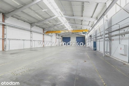 Hala o wysokim standardzie.