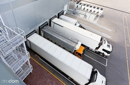 Hala magazynowa do wynajęcia, 5 000 m²