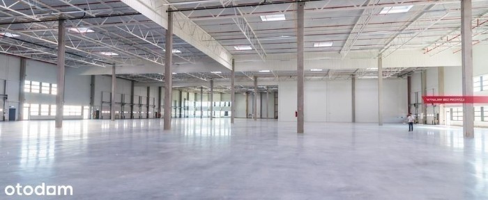 Nowoczesny magazyn na wynajem w Chorzowie przy A4