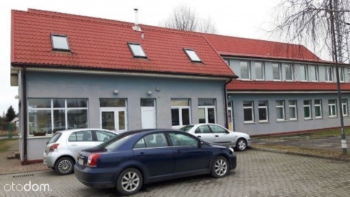 Lokal użytkowy, 560,34 m², Szczecin