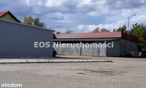 Lokal użytkowy, 895,26 m², Bolesławiec