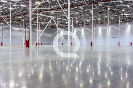 A-Klasowa Powierzchnia W Sąsiedtwie S11 I A2!