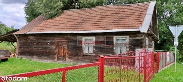 Dom, Działka i Las W 