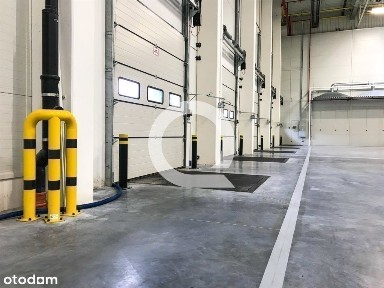 Nowoczesny Obiekt Magazynowy Tuż Przy A1, Grudziąd