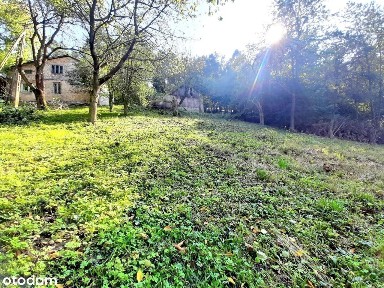 ul. Lipowiecka, Płaza, Chrzanów, chrzanowski, małopolskie