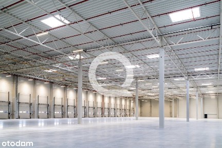 Łozienica, Goleniów, goleniowski, zachodniopomorskie