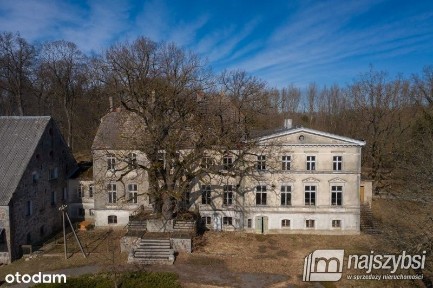 Ińsko-Storkowo pałac na sprzedaż