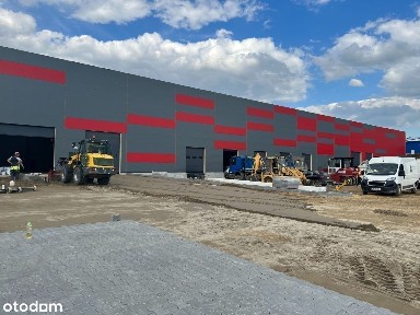 Nowa Hala do wynajęcia