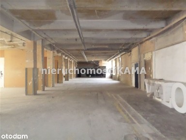 Hala/Magazyn, 550 m², Bielsko-Biała